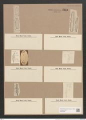 Amphora binodis Greg. (de-Toni-Nr.: Genus 36, Species 1522) Zeichnungen Sammlung Grunow Nr. 2944 (NHMW-BOT-W0370294)